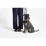 MiaCara Bež ovratnica velikosti S/M dolžina 32 cm Modena Greige S/SM – | Shoptok.si