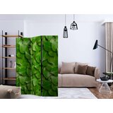  Paravan u 3 dijela - Secret Garden [Room Dividers] 135x172 | shoptok.hr