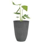  Saksija kolosus 29x36cm plastična siva | Eponuda.com
