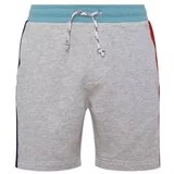 Pepe Jeans Kratke hlače & Bermuda - Siva