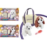 Merx set kućni ljubimac ponesi me ( MS95032 ) | ePonuda.com