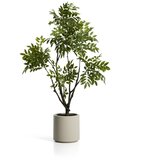 Kave Home Umjetna biljka (visina 185 cm) Rhus – Cijene