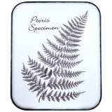 Signes Grimalt Kipci in figurice Ornament Z Listnimi Stenami Bela Cene
