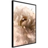  Poster - Bloom 30x45 Cijene