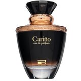 Rue Broca Carino parfemska voda za muškarce 100 ml | shoptok.hr