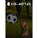 Steam sok-worlds (PC) Key GLOBAL Steam sok-worlds (PC) Key GLOBAL Slike