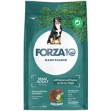 Forza10 Maintenance Dog Forza 10 Maintenance Maxi s divljači i krumpirom - 12 kg | shoptok.hr