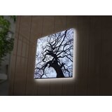 Wallity Zidna slika sa LED osvetljenjem 2828DACT-56, 28x28 cm | Eponuda.ba