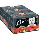 Cesar Classic Selection miješano pakiranje - 24 x 150 g | shoptok.hr