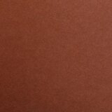 Clairefontaine kartoni Maya brown A4/270gr 1/25 | shoptok.hr