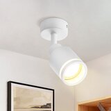 Nettlife Moderna stropna svetilka z 1 nastavljivo žarnico GU10, (22116992) Cene