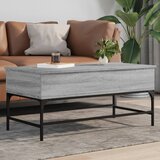 vidaXL Klubska mizica siva sonoma 100x50x45 cm inžen. les in kovina Cene