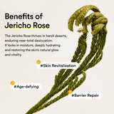 Abib Jericho Rose Mist Serum Glow Spray posvjetljujući serum za lice u spreju 100 ml | shoptok.hr