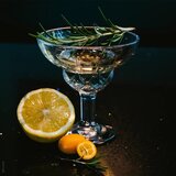 La Rochére Čaše u setu 4 kom za koktele 210 ml Chicago – | shoptok.hr