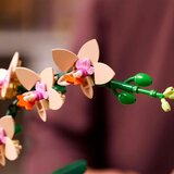 Lego Botanical Collection: Mini orhideja | Shoptok.si