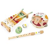 Janod Muzički set za decu Sunshine, Drveni, 5 instrumenata, Šareni | ePonuda.com
