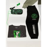 Sinsay Oversize jogger trenirke Minecraft | shoptok.hr