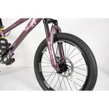 Winner Bike Dečiji bicikl 20” PURPLE | Eponuda.com