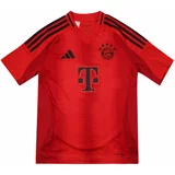 Adidas Funkcionalna majica 'FC Bayern München' rdeča / črna