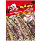  Boranija Čudo Piemonta50 g Royal Seeds | Eponuda.ba