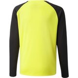 Puma TEAMGLORY JERSEY Muška majica za nogomet, žuta, veličina | shoptok.hr