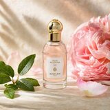 Guerlain Aqua Allegoria Rosa Rossa toaletna voda za žene 40 ml | shoptok.hr