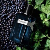 Yves Saint Laurent Y EDP Intense parfumska voda za moške 100 ml | Shoptok.si