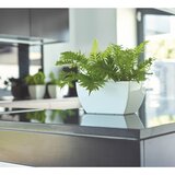 Artevasi Cvetlično korito iz reciklirane plastike 30 cm Siena – | Shoptok.si