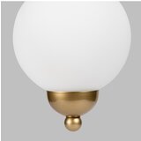 Squid Lighting lED stropna svetilka v zlati barvi s steklenim senčilom ø 15 cm Model-1 | Shoptok.si