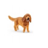 Engleski koker spanijel | ePonuda.com