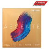  ŽICE ZA VIOLINU D’ADDARIO Ascente A310 4/4 | Eponuda.ba