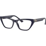 Jimmy Choo Naočare JC 3014 5023 | ePonuda.com