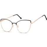 Berkeley Naočare L118 | ePonuda.com