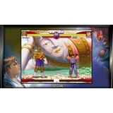 Capcom AKCIJA - STREET FIGHTER 30TH ANNI COLL. PS4 | Eponuda.ba