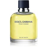 Dolce&gabbana Pour Homme toaletna voda 200 ml za moške Cene