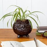Rex London Keramička ukrasna tegla za cvijeće ø 11 cm Owl – | shoptok.hr