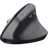 Trust Bayo+ miš Office Desno RF brezžični + Bluetooth Optički 2400 DPI Cene