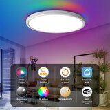 ANTENLICHT Pametna LED stropna svetilka 24W | Shoptok.si