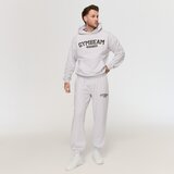 GymBeam varsity hoodie grey s | Eponuda.com