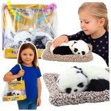 Lean Toys Ljubka speča panda na blazini | Shoptok.si