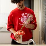 DOIY vaza pečurka (amanita), crvena i bela, 15 ili 20 cm, | ePonuda.com