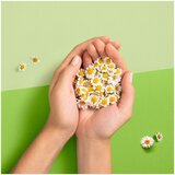 Naturella Ultra higijenski ulošci, 32 kom | ePonuda.com