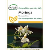 Saflax Moringa Cene