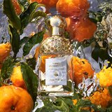 Guerlain Aqua Allegoria Mandarine Basilic darilni set za ženske | Shoptok.si