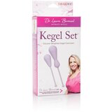 CalExotics Komplet Vaginalnih Kroglic Dr. Laura Berman | Shoptok.si