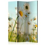  Paravan u 3 dijela - Daisies - spring meadow [Room Dividers] 135x172 Cijene