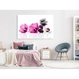  Slika - Calm Mallow (1 Part) Wide Pink 120x80 | shoptok.hr