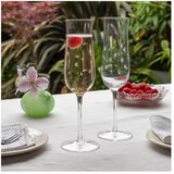 Rex London Kozarci v kompletu 2 ks za penino 200 ml – | Shoptok.si
