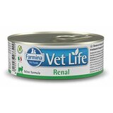 Farmina vet life veterinarska dijeta cat renal konzerva 85gr Cene