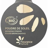 bronzing powder